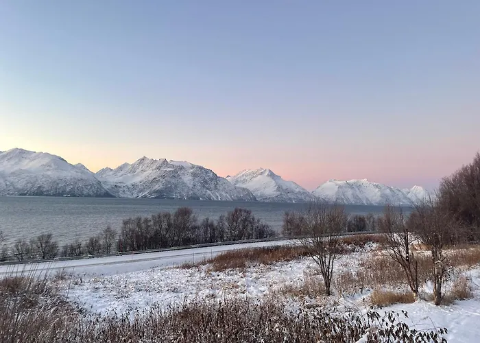 Paradis Med Mange Muligheter! Nordmannvik