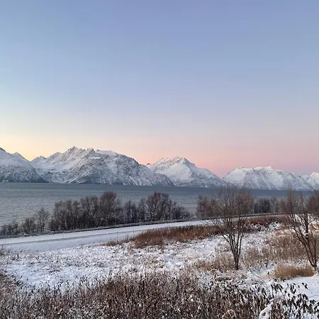 Paradis Med Mange Muligheter! Nordmannvik